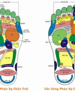 bàn chân ví như trái tim thứ 2