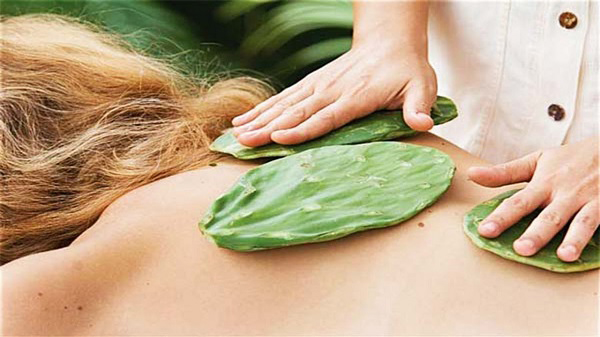 Ghế massage Fujikima - FJ - 909FX biện pháp trị liệu gai cột sống tốt nhất trên thị trường