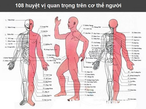 108 huyet dao tren co the Copy