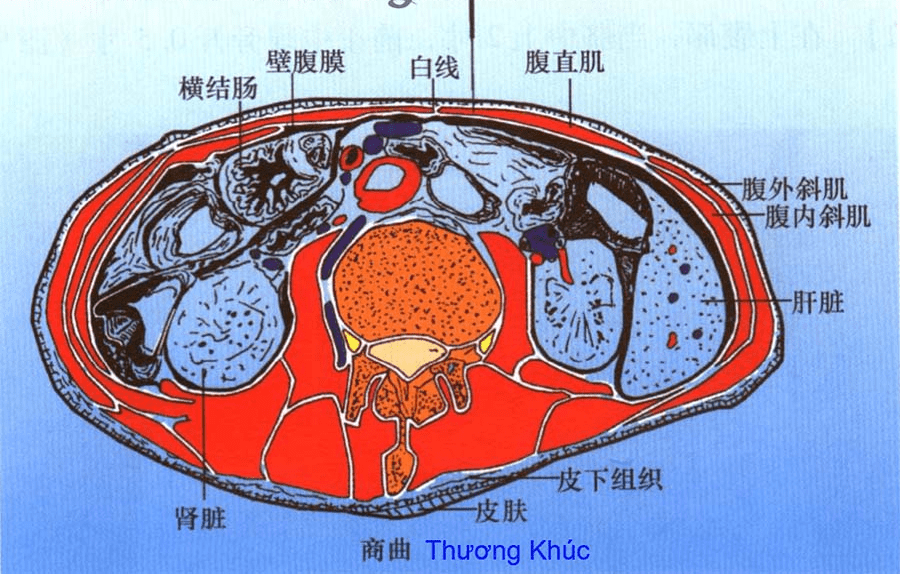 Huyệt Thương Khúc