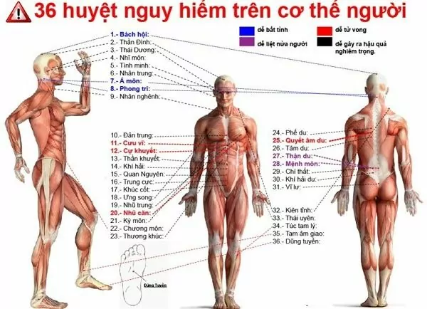 36 huyet nguy hiem tren co the