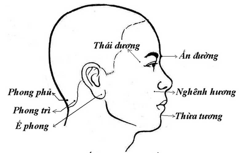 huyệt thái dương là gì ?