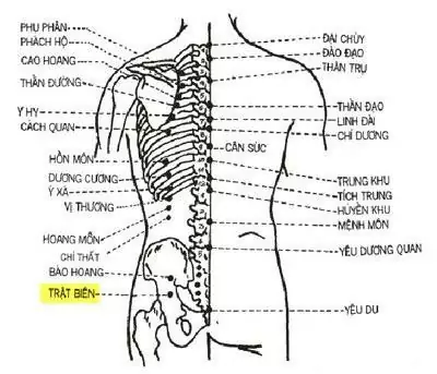 Huyệt Trật Biên là gì ?