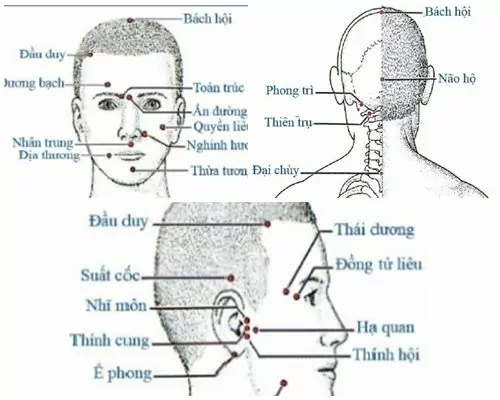 vi tri cac huyet tren co the nguoi vung dau co