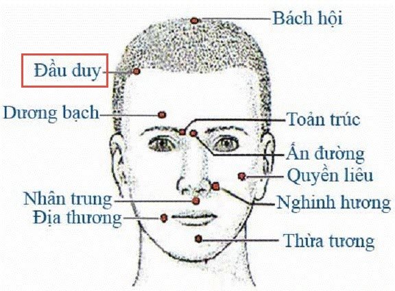 Tác dụng của Huyệt Đầu Duy với sức khỏe con người?