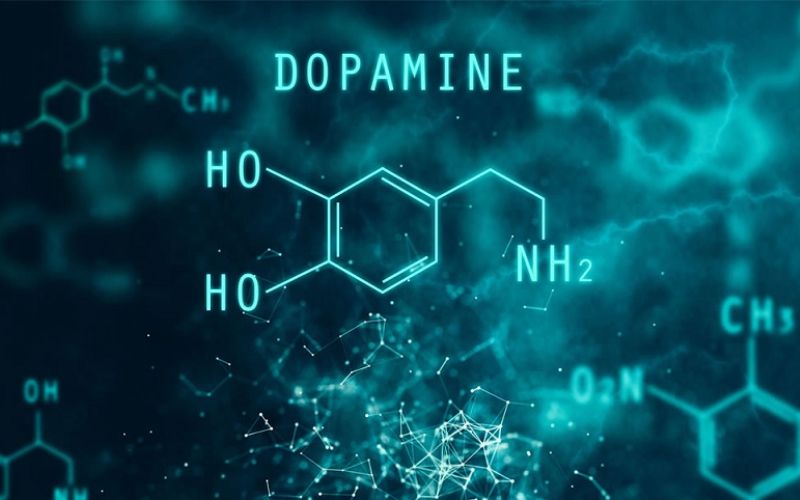 dopamine 1