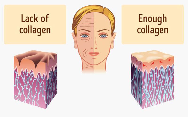 collagen co tac dung gi 1